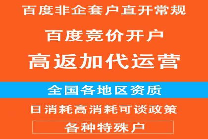百度推广运营实战：中小企业如何突围